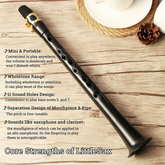 Draagbare Mini Pocket Saxofoon Little Sax Alto Mondstuk Eenvoudige Muziekinstrument & T8