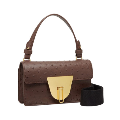 ico struisvogel Coccinelle , Bruin , Dames