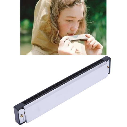 Speciale 24 Gaten 48 Tones Harmonica Sleutel Van C/G Mondharmonica