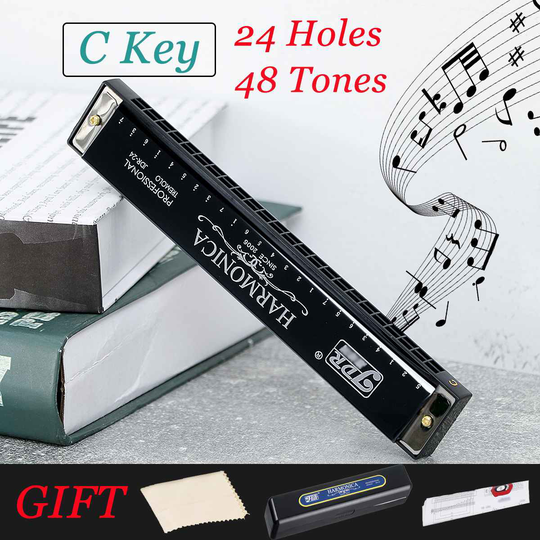 Professionele 24 Holes Harmonica C Key Metalen Harmonica Met Case Messing Roestvrij Staal Muzikale Houtblazers Instrument Voor Beginners