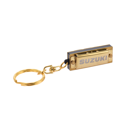 Harmonica 10 Gaten 20 Tone Sleutel van C Zilver Kleur Blues Jazz Rock Folk Muziek Muziekinstrument Diatonische Harp