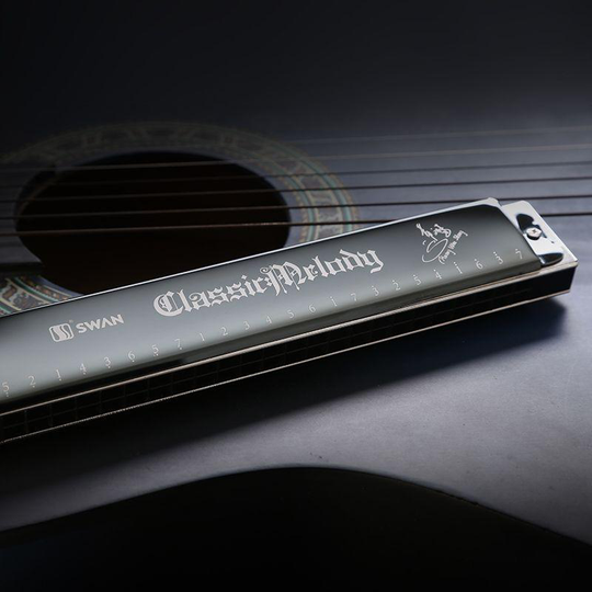 Dubbele-Tone C Harmonica 24 Gat Spelen Beroep Harmonica Standaard Bereik Harmonica Fosforbrons Legering Riet