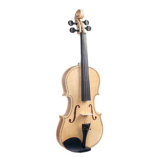 Akoestische Viool Volwassen Student Viool Full Size 4/4 Viool Glad Gepolijst Oppervlak Strijkstok Doos Set