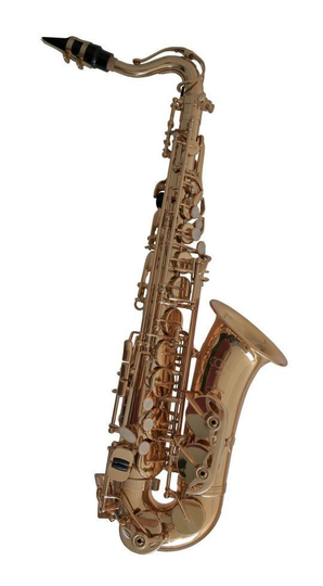 Conn AS-655 Kinder-Altsaxophon, incl. Leicht-Etui u. Zubehör,