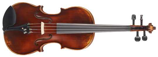 Strunal Schönbach Andria 332 4/4
