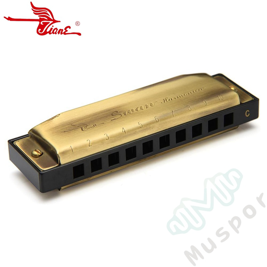 ZWAAN Brons 10 Gaten Diatonische Blues Harp Harmonica Sleutel van C