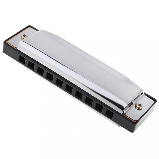 -10 Holes Blues Harmonica Muziekinstrument Roestvrijstalen Mond Orgel voor Kinderen