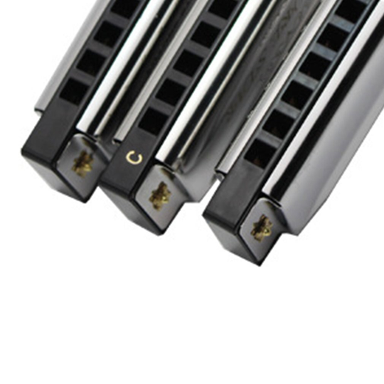 Zilveren Harmonica 10 Hole Key C Mondharmonica Voor Blues Rock Jazz Folk Harmonica Metalen Rvs Instrumenten