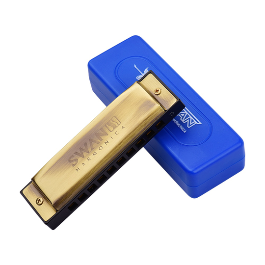 10 Gaten Blues Diatonische Harmonica C Key 20 Tonen Mondharmonica Met Storage Case Voor Beginners/Volwassenen/Kinderen