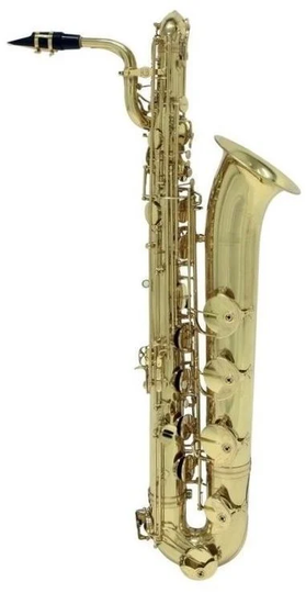 Roy Benson BS-302 Saxophon