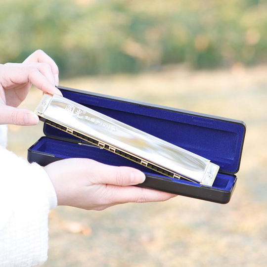 28 Gaten Brede Diapason Sleutel C Tune Tremolo Harmonica Metal Muziekinstrumenten Mond Harmonica Tremolo