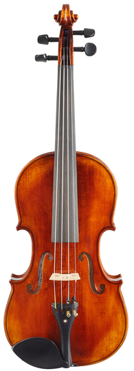 Violin Schönbach Golden/Brown