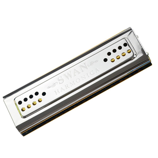 SW24 12A Dagelijkse Praktijk Hars Frets C G Toetsen Stage Performance 24 Gaten Dubbele Side Harmonica Tremolo Professionals Beginner