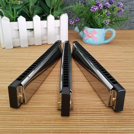 24 Gaten Harmonica Tremolo Sleutel C Zilver Kleur Blues Jazz Rock Muziekinstrument Diatonische Harp Muziekinstrument