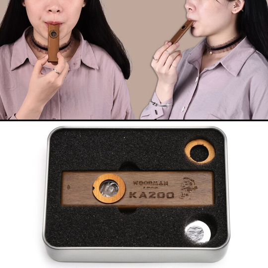 Muziekinstrument Harmonica Houten Kazoo Met Metal Padded Box Kids Party