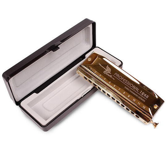 SW1248-4 12 Hole 48 Tone Dikke Klap Mond Praktijk Spelen Chromatische Harmonica