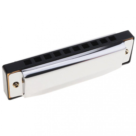 10 Holes Blues Harmonica Muziekinstrument Roestvrijstalen Mond Orgel Voor Kinderen
