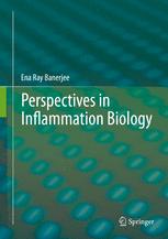 Perspectives in Inflammation Biology
