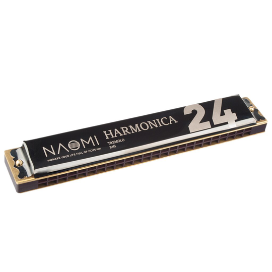 Koper 24 Hole Harmonica Sleutel Van C Zwart Voor Volwassenen Beginners Studenten