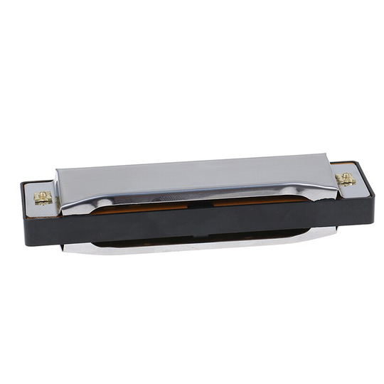 10 Gaten Professionele Blues Harmonica Roestvrij Staal Mond Orgel Voor Kinderen Muziekinstrument