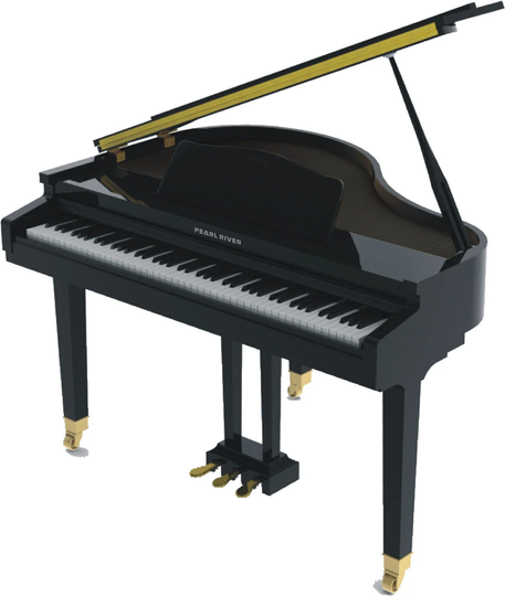 Pearl River GP 1100 Schwarz Digital Piano