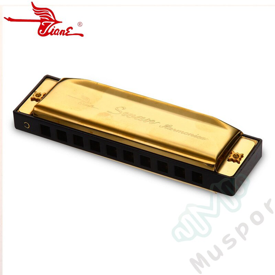 SWAN 10 Gaten Blues Harmonica Harp 20 Tone C Key Mondharmonica