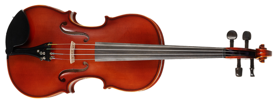 Strunal Schönbach Violin Bologna 333w 4/4