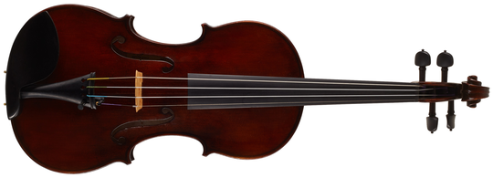 Martin W. Placht Guarneri model P
