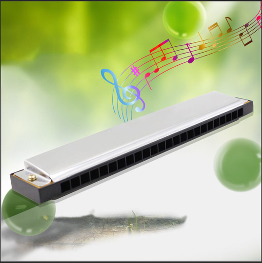 Professionele Tremolo Harmonica C Key 24 Gaten Cromatica Mondharmonica Muzikale Instrumenten Voor Beginner