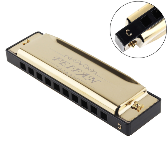 Rvs 10 Gaten 20 Tone Matte Goud Harmonica C Sleutel Blues Harp Mondharmonica Muziekinstrument Voor Beginner