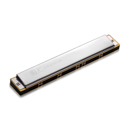 28 Gat Breed Scala Harmonica Sleutel Van C Tremolo Harmonica Mouthorgan Professionele Wind Instrument Zilver